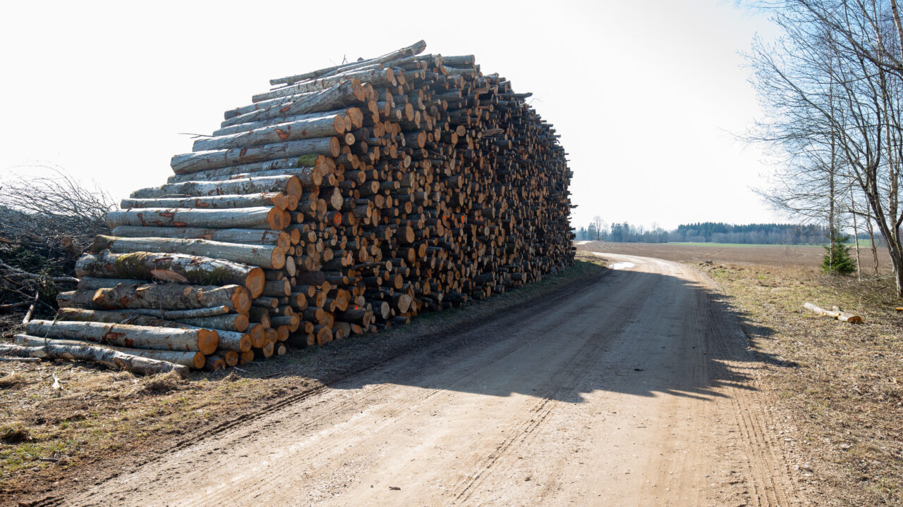 Kehra puidufirma on tõsistes raskustes. “Jätkame võitlust ellujäämise nimel” thumbnail
