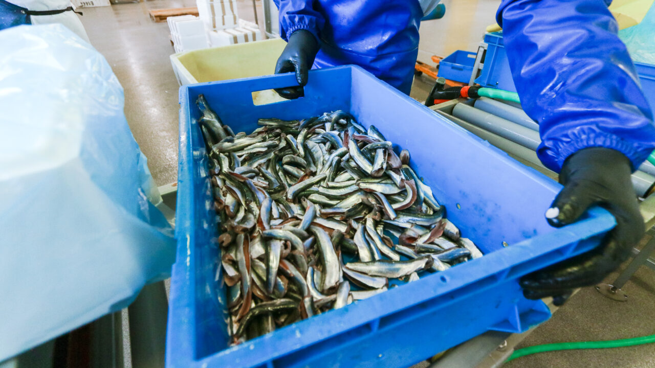 Kalakasvatusettevõtete toodangu kogused vähenesid, kuid hinnad tõusid thumbnail