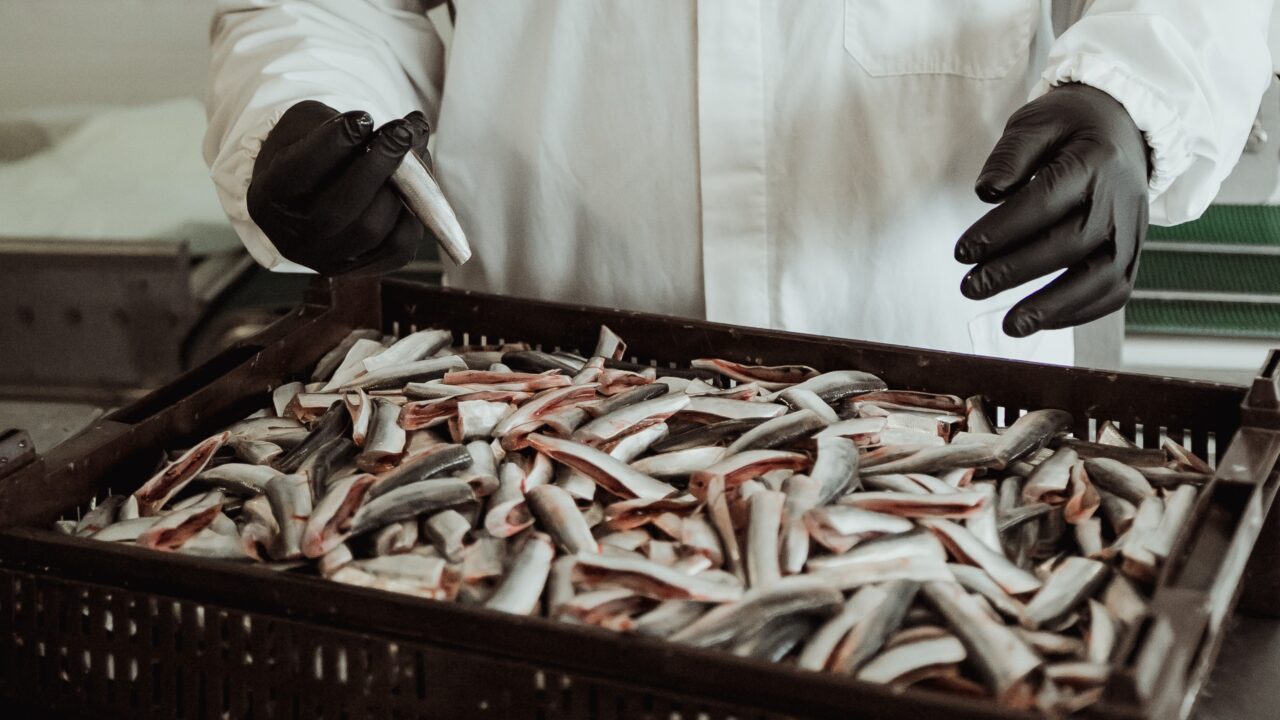 PANKROTILOOD | Kuidas rahvusvaheline kalaäri miljonivõlgadesse tüüriti? thumbnail