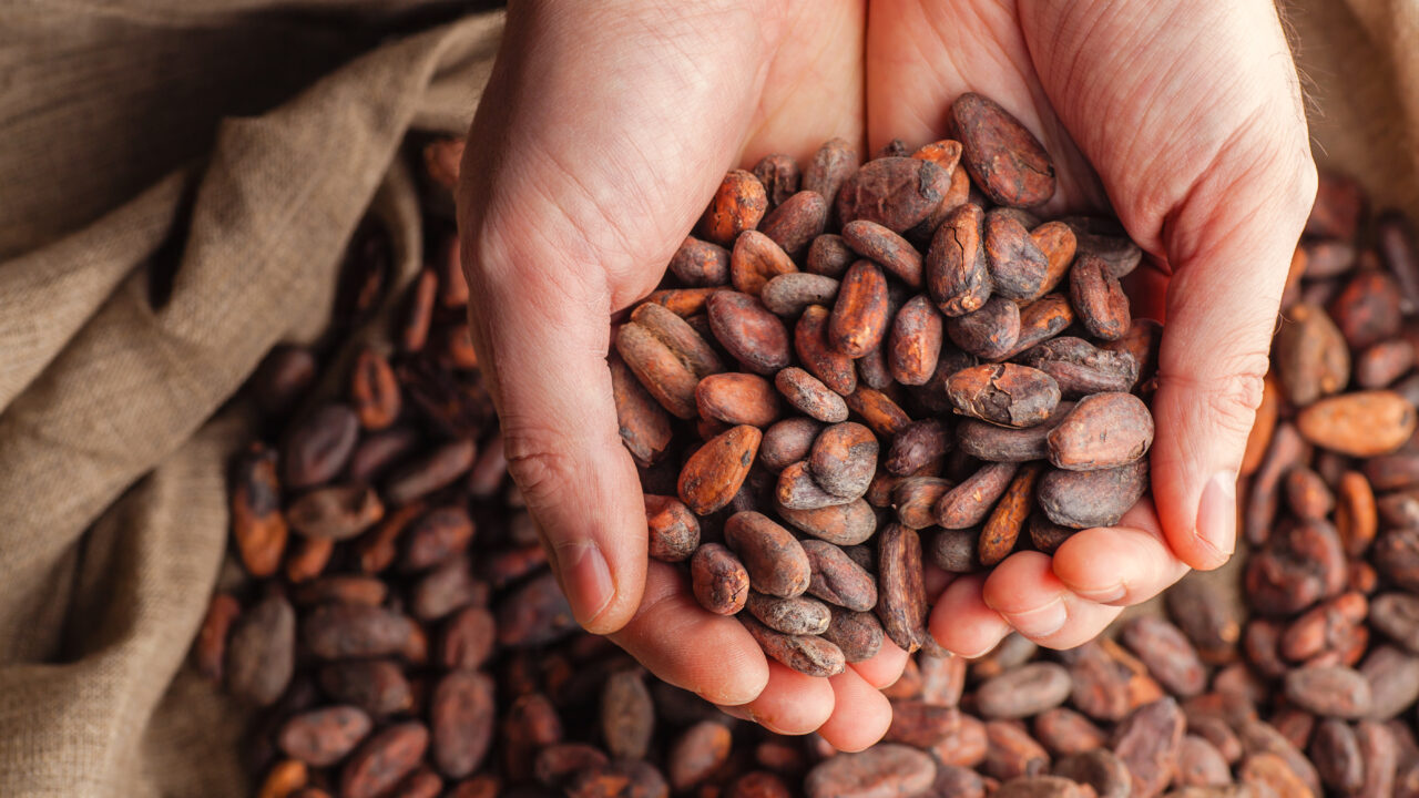 PANKROTILOOD | Kuidas ülitulus rahvusvaheline kakaoubade äri lõhki laenati? thumbnail