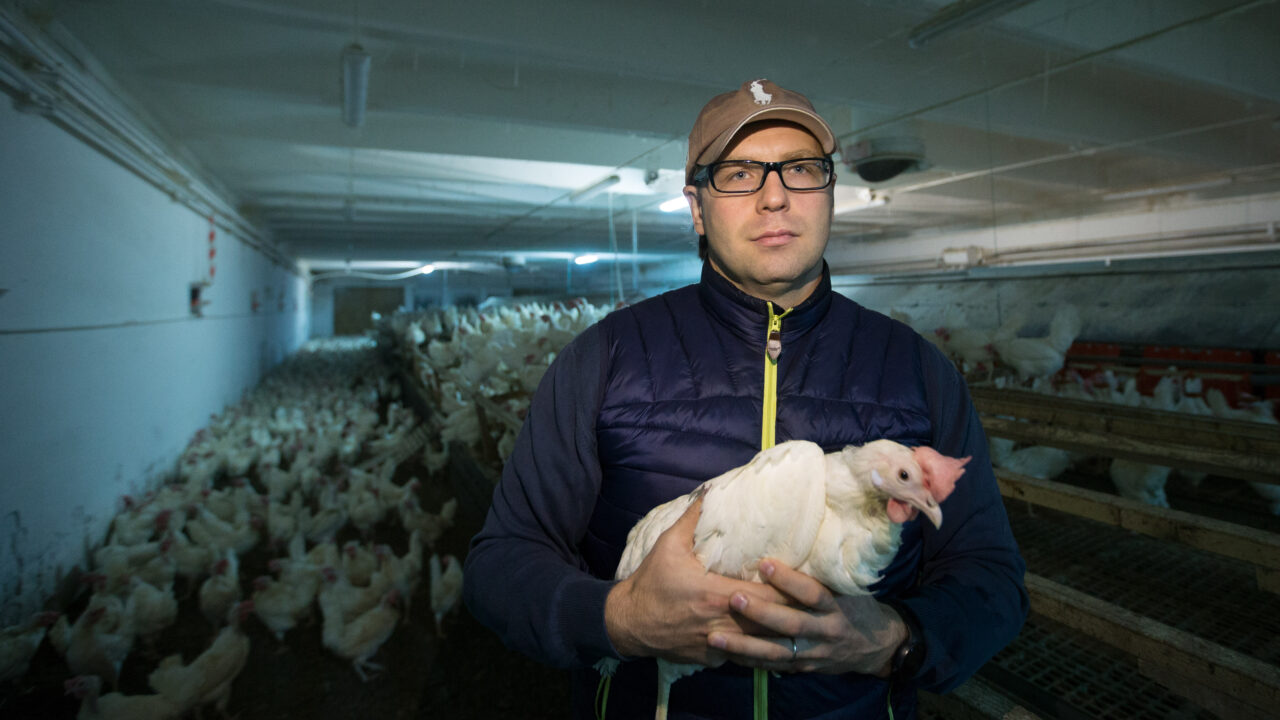 Kehtna liha- ja munatootja sulgeb uksed ja koondab töötajad thumbnail